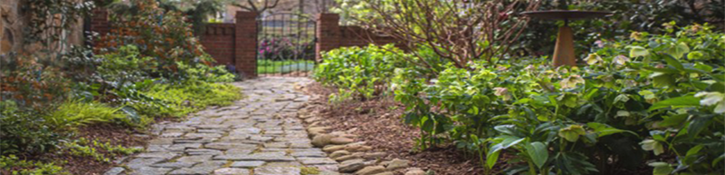 Pathway-home page